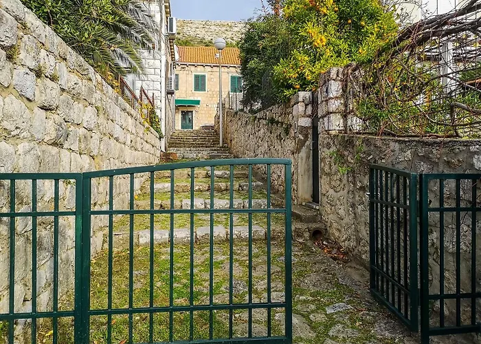 Deluxe Duplex House With Terrace