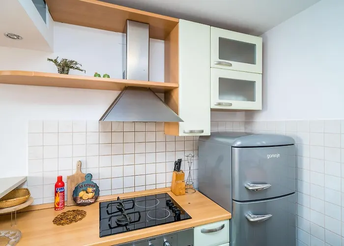 Deluxe Duplex House With Terrace