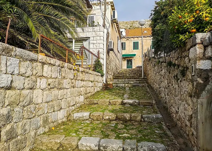 Deluxe Duplex House With Terrace *