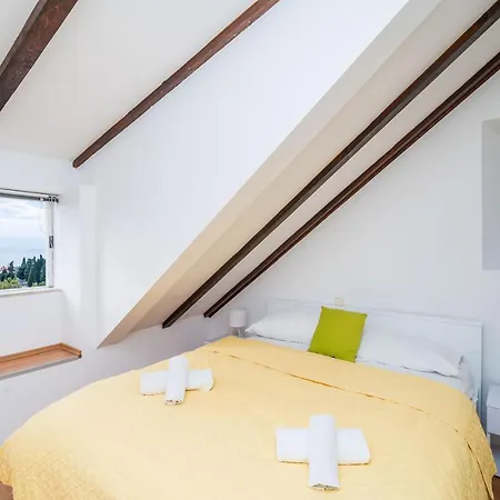 Deluxe Duplex House With Terrace Apartment *