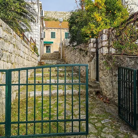 Deluxe Duplex House With Terrace