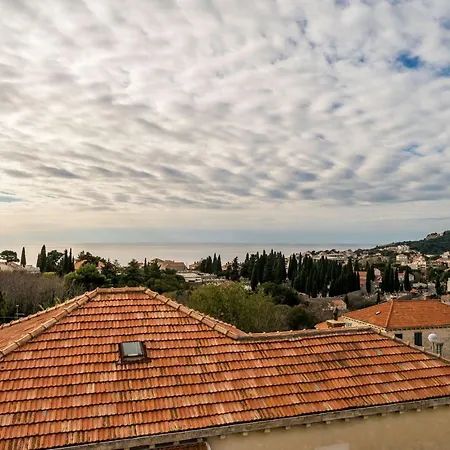 Deluxe Duplex House With Terrace Apartment