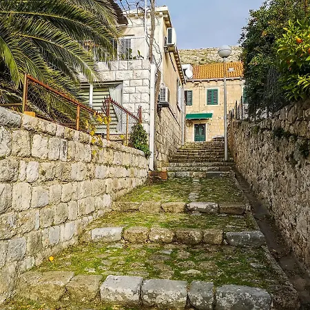 Deluxe Duplex House With Terrace *